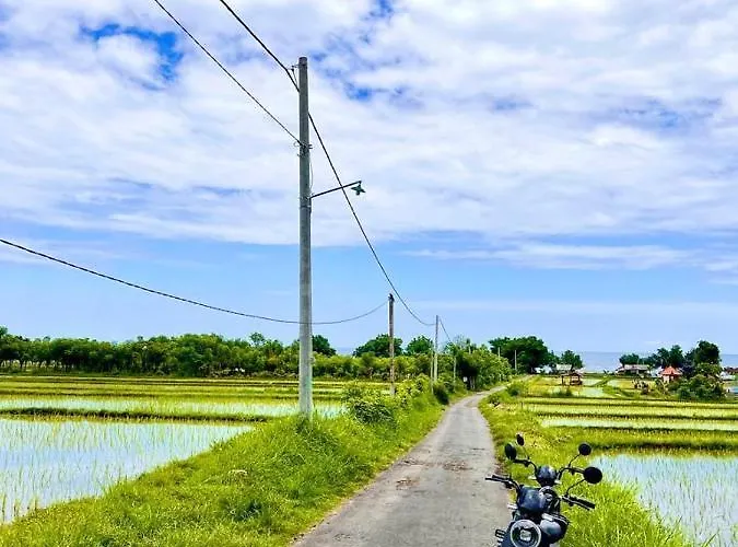 Bula Umeanyar